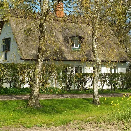 Katengluck Kappeln